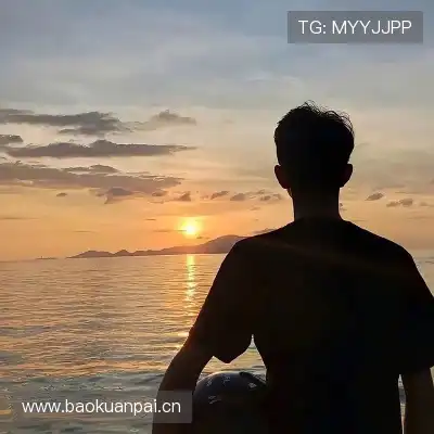 晏清飚